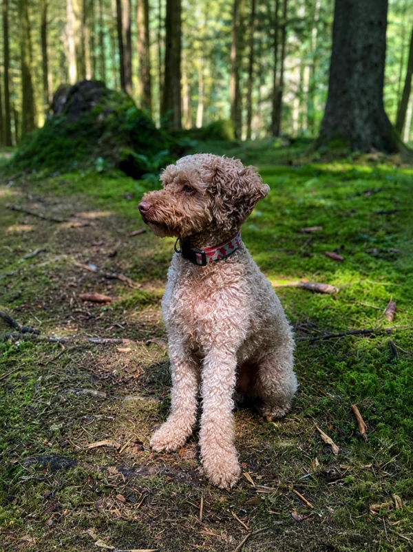 Milo
